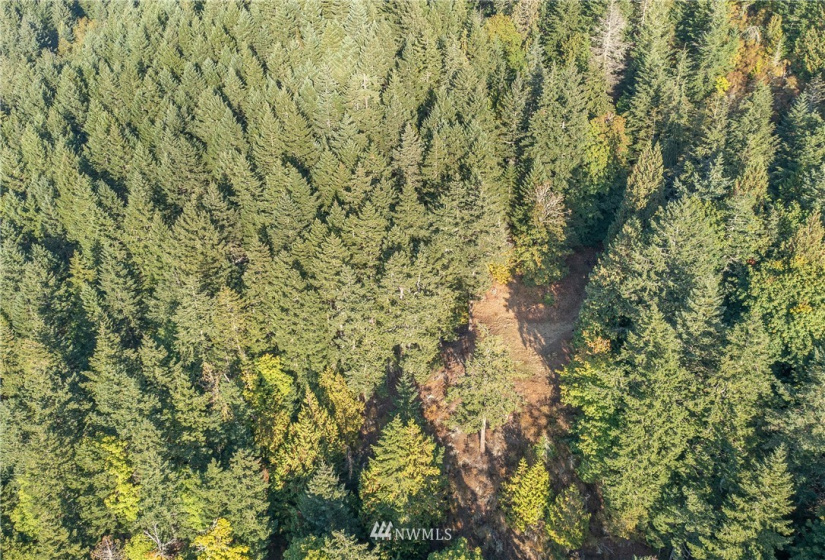 9 Lot# Spring Hill, Orcas Island, Washington 98245, ,Land,For Sale,Spring Hill,NWM1846934