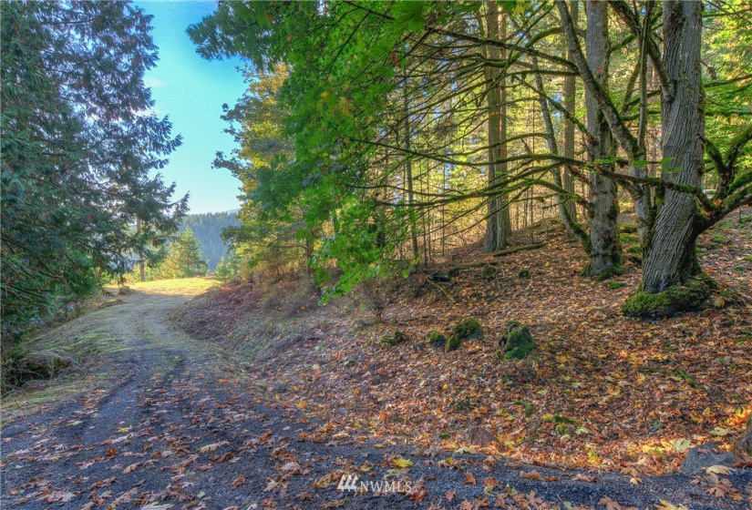 9 Lot# Spring Hill, Orcas Island, Washington 98245, ,Land,For Sale,Spring Hill,NWM1846934
