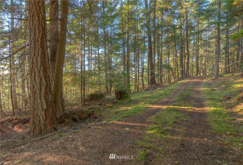 9 Lot# Spring Hill, Orcas Island, Washington 98245, ,Land,For Sale,Spring Hill,NWM1846934