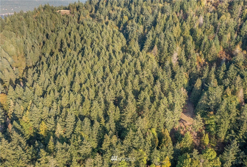 9 Lot# Spring Hill, Orcas Island, Washington 98245, ,Land,For Sale,Spring Hill,NWM1846934