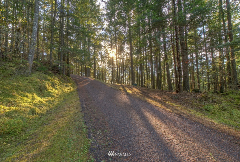9 Lot# Spring Hill, Orcas Island, Washington 98245, ,Land,For Sale,Spring Hill,NWM1846934