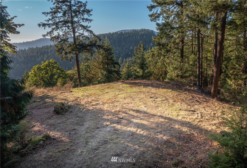 9 Lot# Spring Hill, Orcas Island, Washington 98245, ,Land,For Sale,Spring Hill,NWM1846934