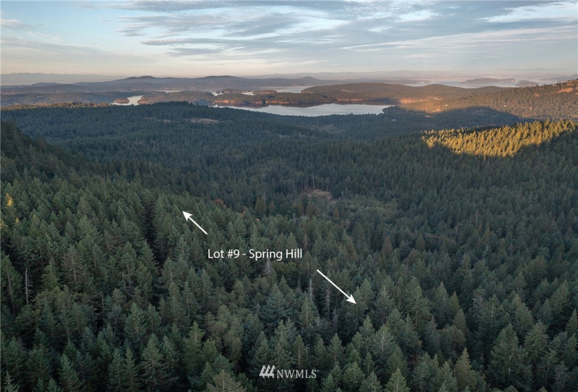 9 Lot# Spring Hill, Orcas Island, Washington 98245, ,Land,For Sale,Spring Hill,NWM1846934