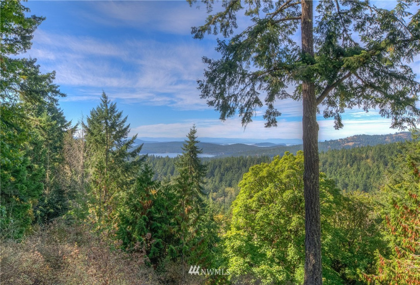 9 Lot# Spring Hill, Orcas Island, Washington 98245, ,Land,For Sale,Spring Hill,NWM1846934