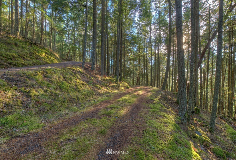 9 Lot# Spring Hill, Orcas Island, Washington 98245, ,Land,For Sale,Spring Hill,NWM1846934