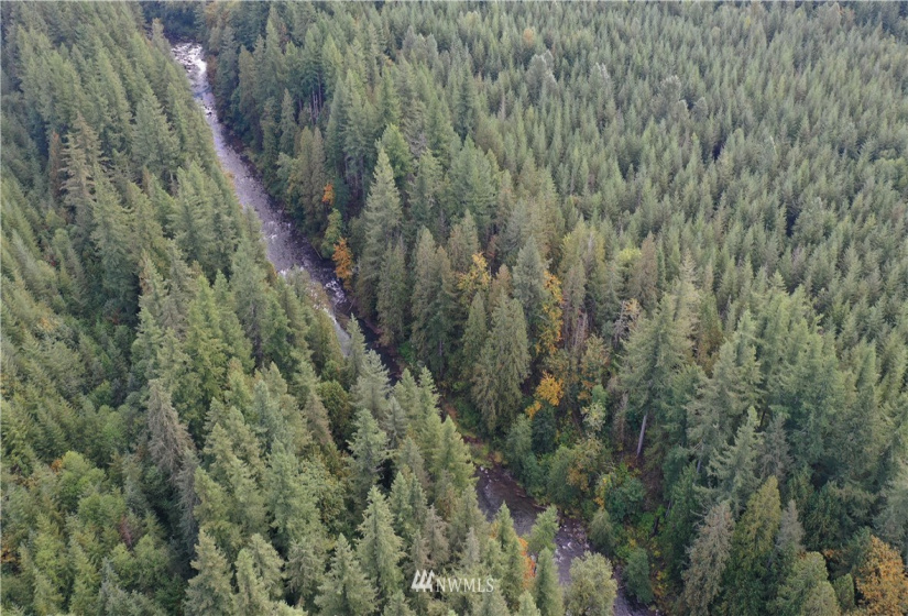 0 XXXX, Black Diamond, Washington 98010, ,Land,For Sale,XXXX,NWM1846019