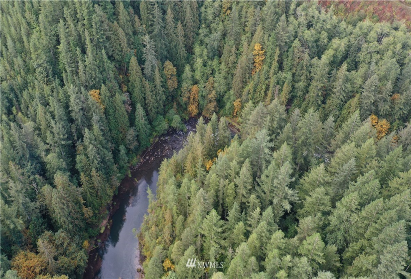 0 XXXX, Black Diamond, Washington 98010, ,Land,For Sale,XXXX,NWM1846019