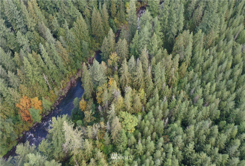 0 XXXX, Black Diamond, Washington 98010, ,Land,For Sale,XXXX,NWM1846019