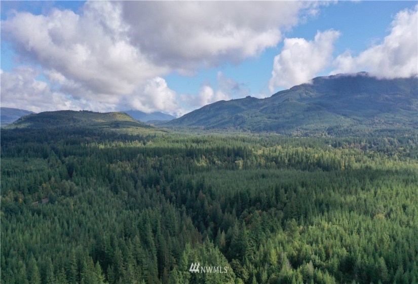 0 XXXX, Black Diamond, Washington 98010, ,Land,For Sale,XXXX,NWM1846019