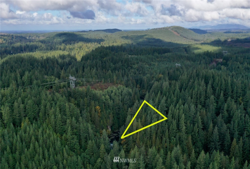 0 XXXX, Black Diamond, Washington 98010, ,Land,For Sale,XXXX,NWM1846019