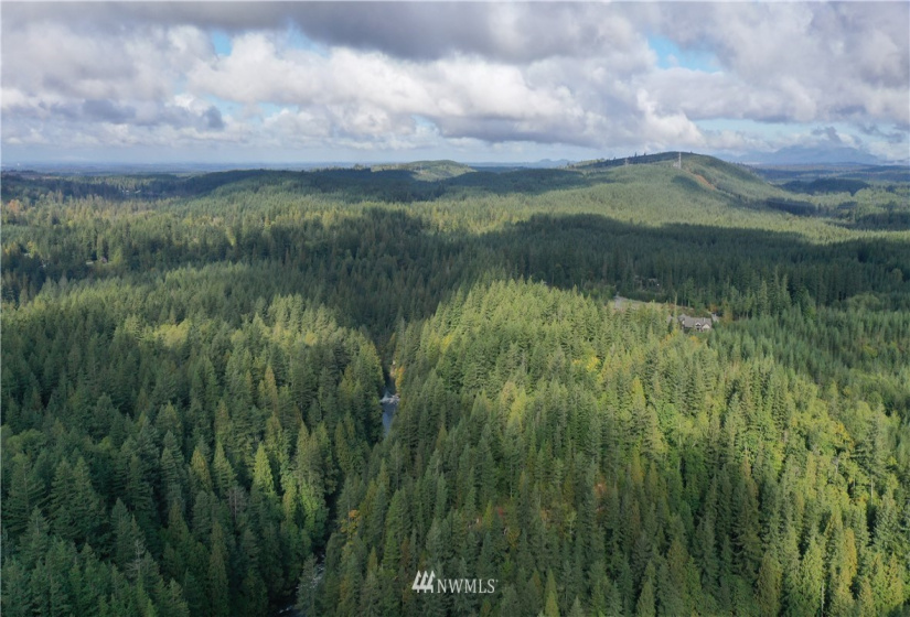 0 XXXX, Black Diamond, Washington 98010, ,Land,For Sale,XXXX,NWM1846019