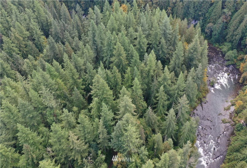 0 XXXX, Black Diamond, Washington 98010, ,Land,For Sale,XXXX,NWM1846019