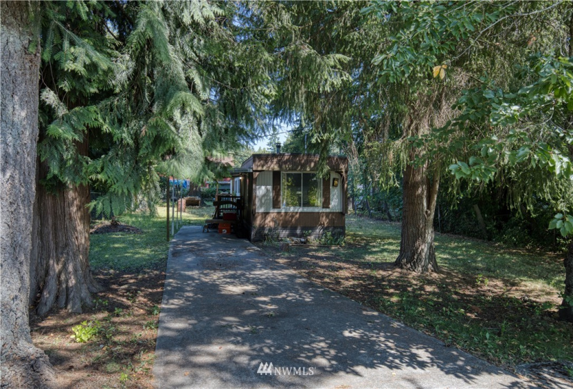 3220 80th, Olympia, Washington 98501, ,Land,For Sale,80th,NWM1849355