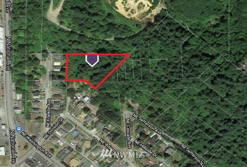 0 Franklin, Chehalis, Washington 98532, ,Land,For Sale,Franklin,NWM1849162