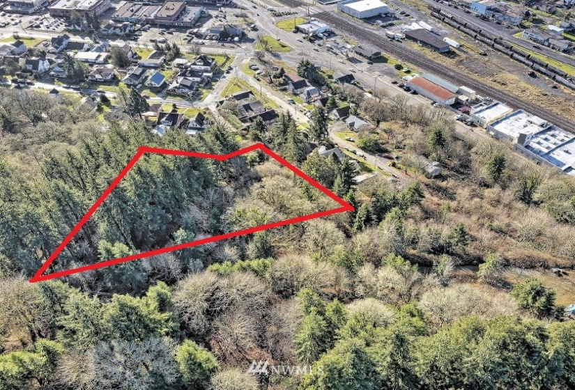 0 Franklin, Chehalis, Washington 98532, ,Land,For Sale,Franklin,NWM1849162