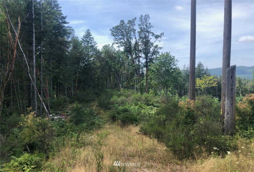 0 Clair, Port Orchard, Washington 98367, ,Land,For Sale,Clair,NWM1849439