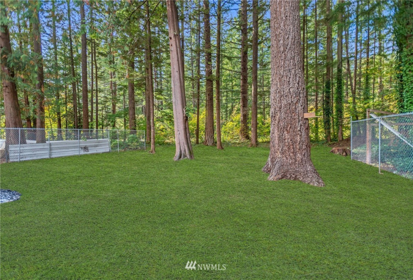 8279 Golden Valley, Maple Falls, Washington 98266, 3 Bedrooms Bedrooms, ,1 BathroomBathrooms,Manufactured In Park,For Sale,Golden Valley,NWM1849356