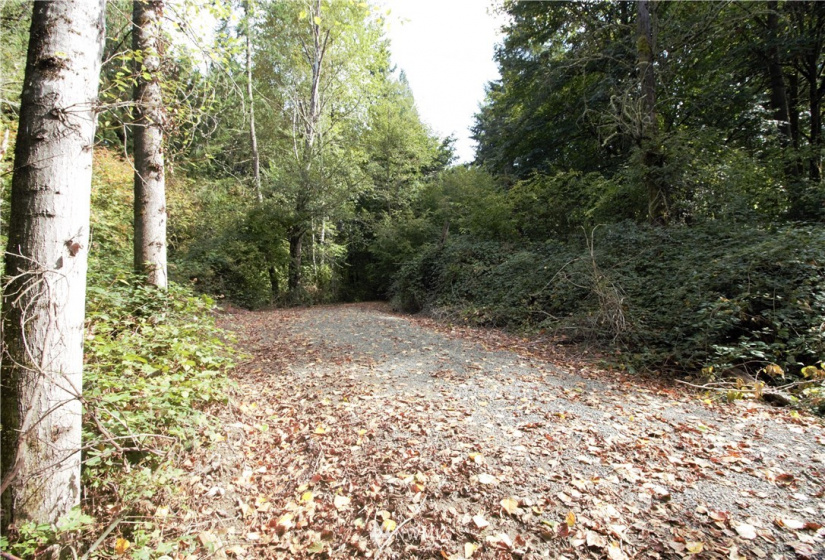 170 SE 128th, Renton, Washington 98059, ,Land,For Sale,128th,NWM1848554