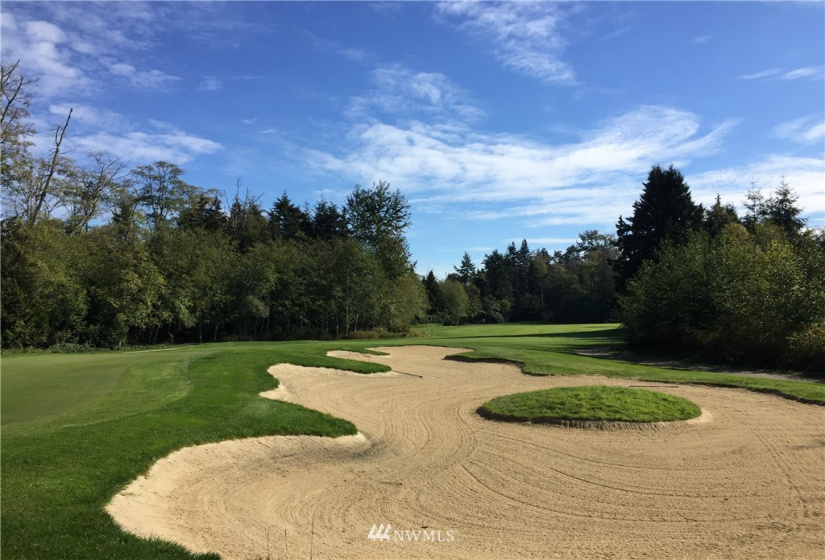 1447 Pelican, Point Roberts, Washington 98281, ,Land,For Sale,Pelican,NWM1731520