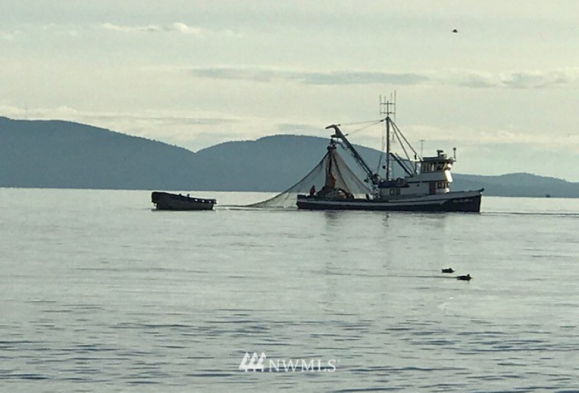 1447 Pelican, Point Roberts, Washington 98281, ,Land,For Sale,Pelican,NWM1731520