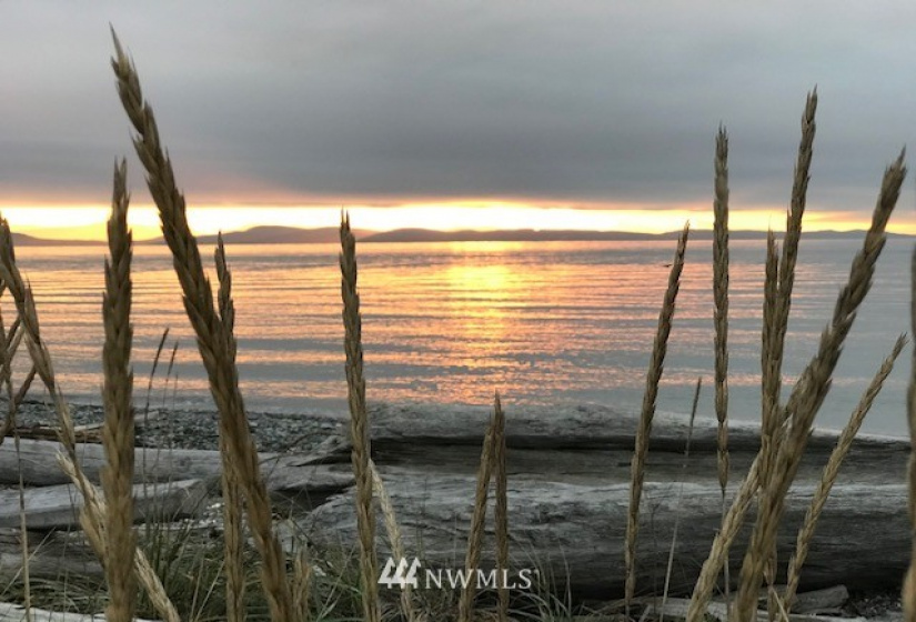 1447 Pelican, Point Roberts, Washington 98281, ,Land,For Sale,Pelican,NWM1731520