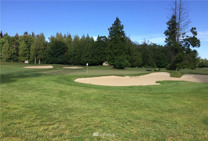 1447 Pelican, Point Roberts, Washington 98281, ,Land,For Sale,Pelican,NWM1731520