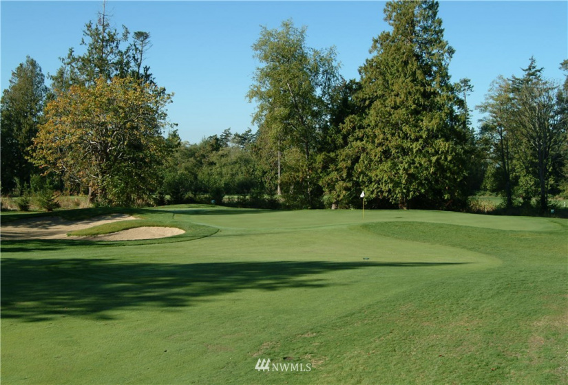 1447 Pelican, Point Roberts, Washington 98281, ,Land,For Sale,Pelican,NWM1731520