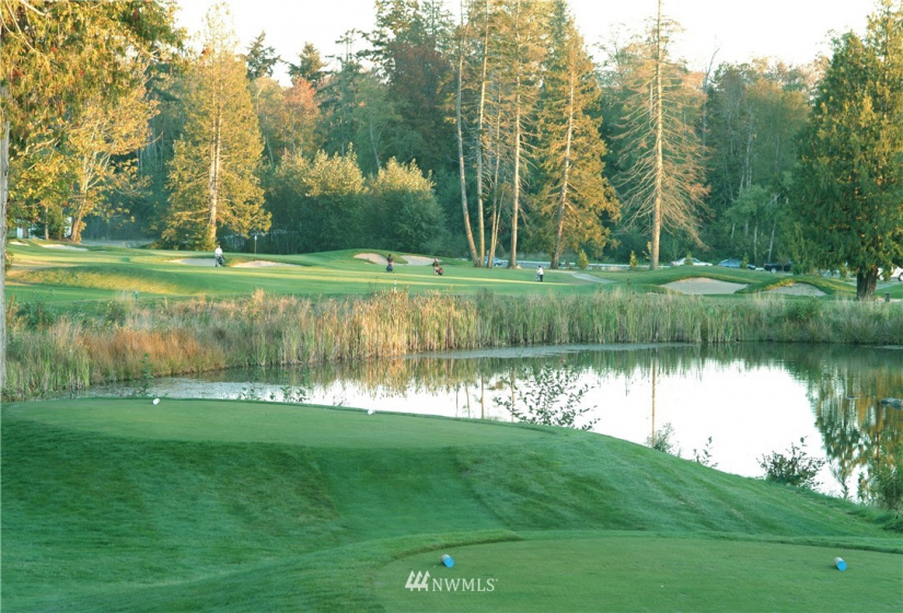 1447 Pelican, Point Roberts, Washington 98281, ,Land,For Sale,Pelican,NWM1731520