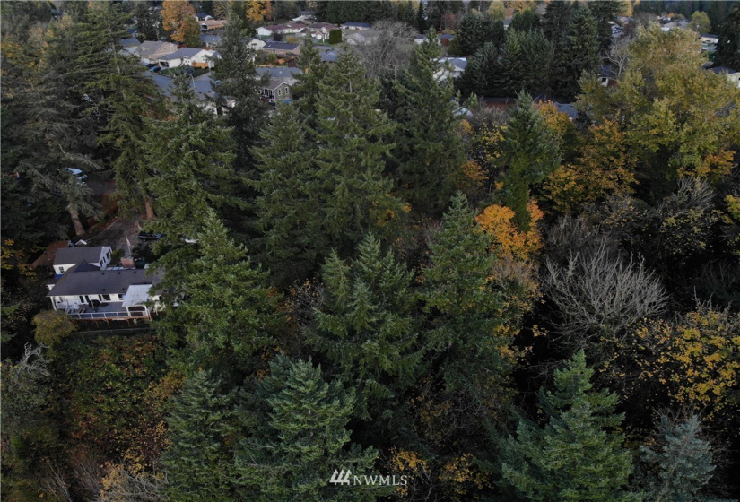 10702 Willow, Lake Stevens, Washington 98258, ,Land,For Sale,Bailys 2nd Ave,Willow,NWM1849045