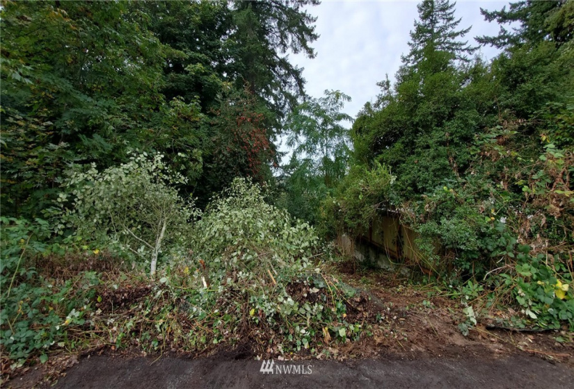 10702 Willow, Lake Stevens, Washington 98258, ,Land,For Sale,Bailys 2nd Ave,Willow,NWM1849045