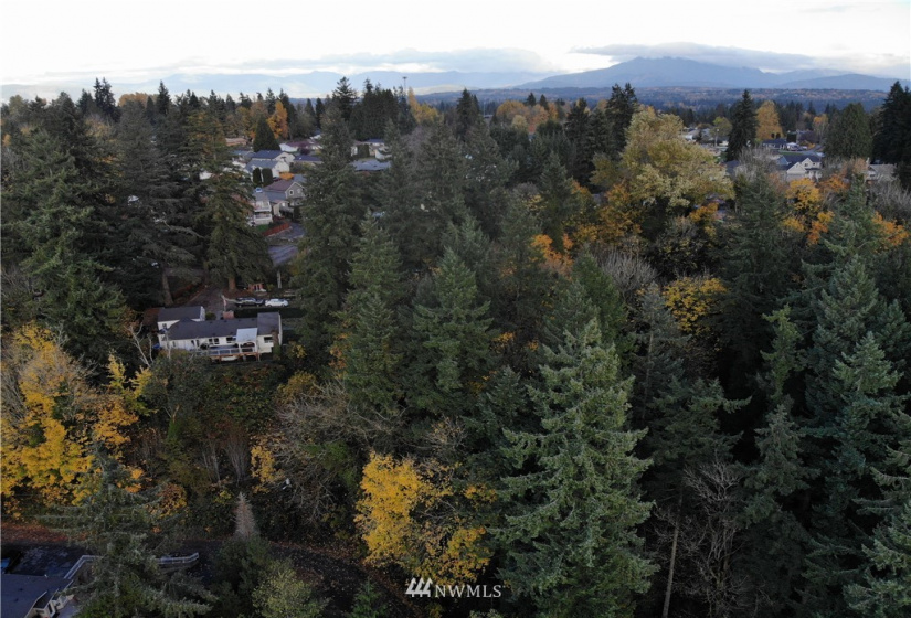 10702 Willow, Lake Stevens, Washington 98258, ,Land,For Sale,Bailys 2nd Ave,Willow,NWM1849045