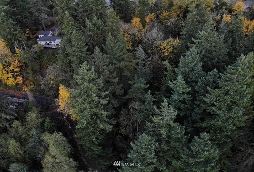 10702 Willow, Lake Stevens, Washington 98258, ,Land,For Sale,Bailys 2nd Ave,Willow,NWM1849045