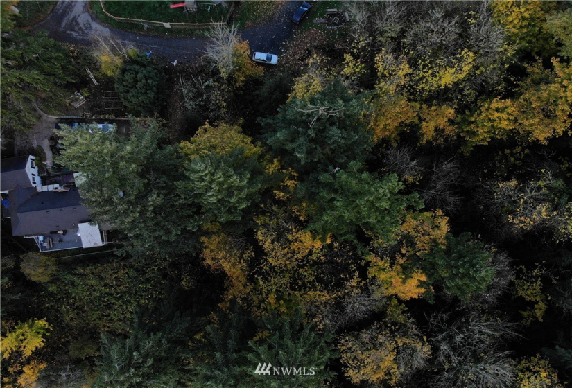 10702 Willow, Lake Stevens, Washington 98258, ,Land,For Sale,Bailys 2nd Ave,Willow,NWM1849045