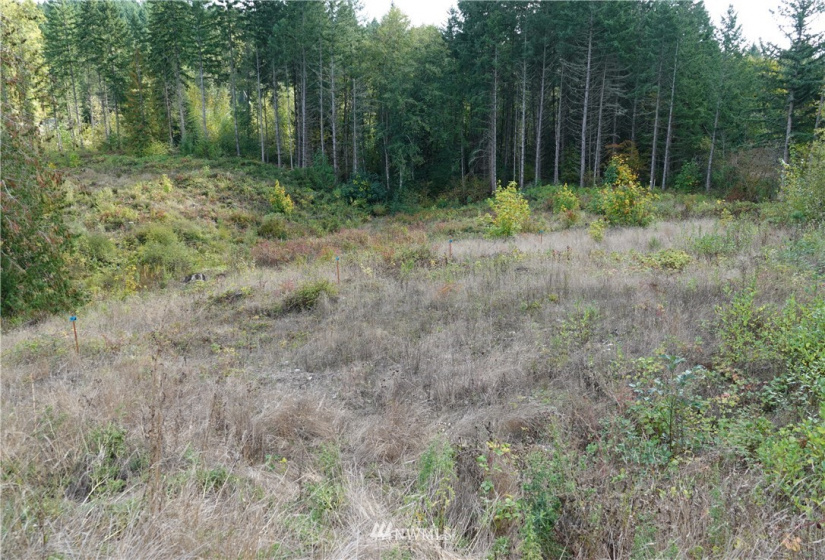 40401 62nd, Eatonville, Washington 98328, ,Land,For Sale,LL 92-02-05-0571,62nd,NWM1848097