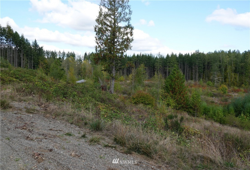 40401 62nd, Eatonville, Washington 98328, ,Land,For Sale,LL 92-02-05-0571,62nd,NWM1848097