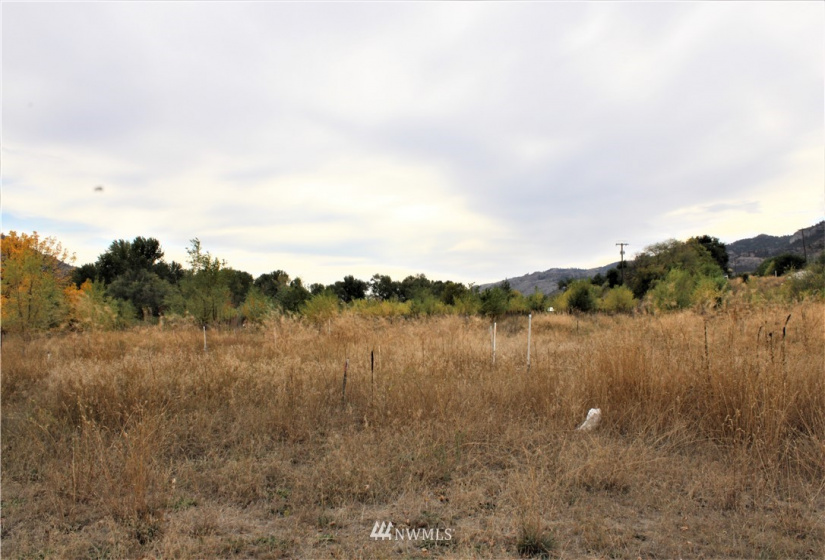 2156 Highway 7, Oroville, Washington 98844, 3 Bedrooms Bedrooms, ,2 BathroomsBathrooms,Residential,For Sale,Oroville Acres,Highway 7,NWM1849345