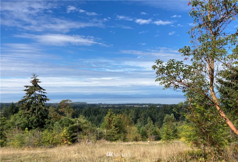9999 Sunset Heights, Port Angeles, Washington 98363, ,Land,For Sale,Sunset Heights,NWM1849948