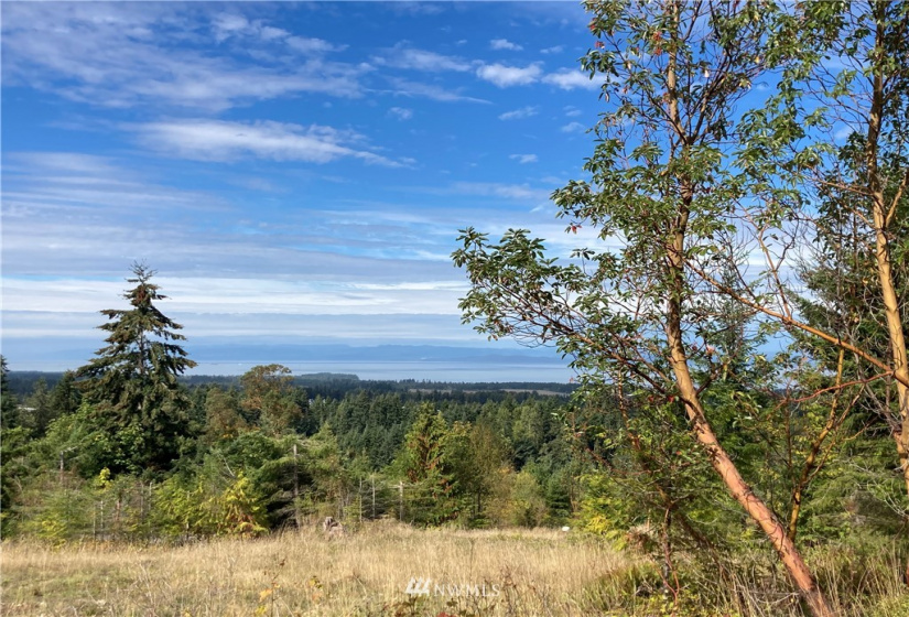 9999 Sunset Heights, Port Angeles, Washington 98363, ,Land,For Sale,Sunset Heights,NWM1849948