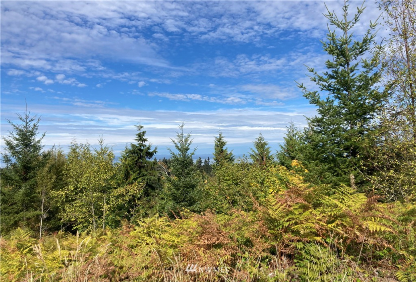 9999 Sunset Heights, Port Angeles, Washington 98363, ,Land,For Sale,Sunset Heights,NWM1849948