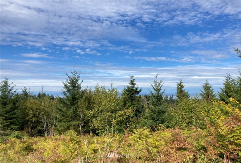 9999 Sunset Heights, Port Angeles, Washington 98363, ,Land,For Sale,Sunset Heights,NWM1849948