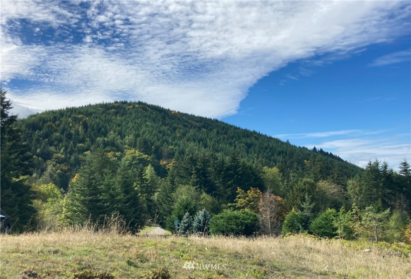 9999 Sunset Heights, Port Angeles, Washington 98363, ,Land,For Sale,Sunset Heights,NWM1849948