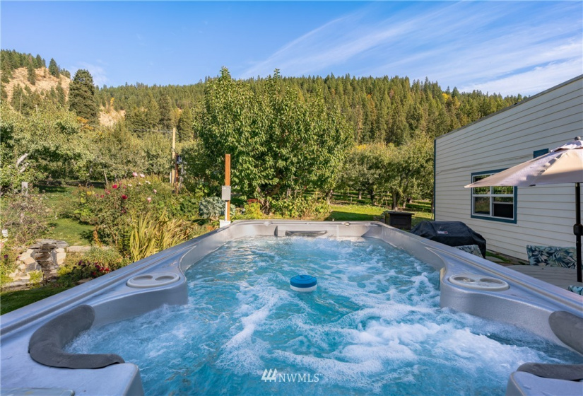 9753 Nibbelink, Peshastin, Washington 98847, 4 Bedrooms Bedrooms, ,1 BathroomBathrooms,Farm,For Sale,Nibbelink,NWM1850612