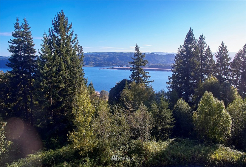 171 Newt Estates, Longview, Washington 98632, ,Land,For Sale,Newt Estates,NWM1849888
