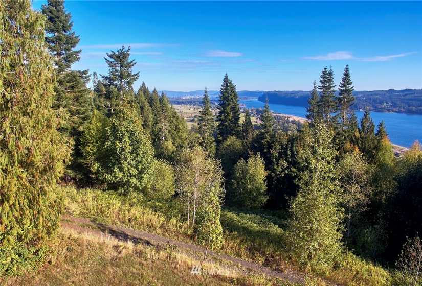 171 Newt Estates, Longview, Washington 98632, ,Land,For Sale,Newt Estates,NWM1849888