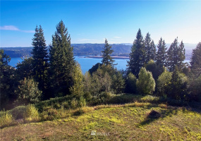 171 Newt Estates, Longview, Washington 98632, ,Land,For Sale,Newt Estates,NWM1849888