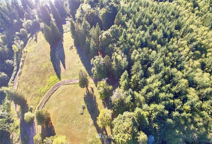 171 Newt Estates, Longview, Washington 98632, ,Land,For Sale,Newt Estates,NWM1849888