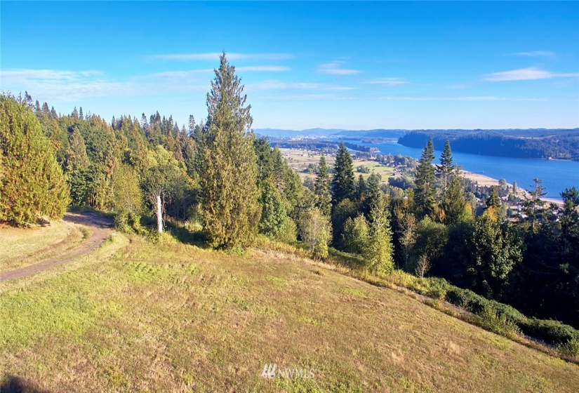 171 Newt Estates, Longview, Washington 98632, ,Land,For Sale,Newt Estates,NWM1849888