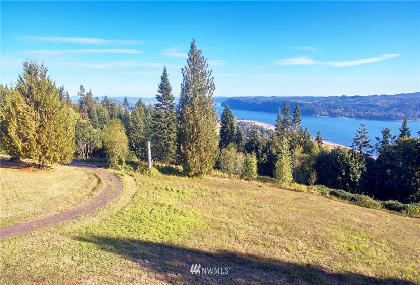 171 Newt Estates, Longview, Washington 98632, ,Land,For Sale,Newt Estates,NWM1849888