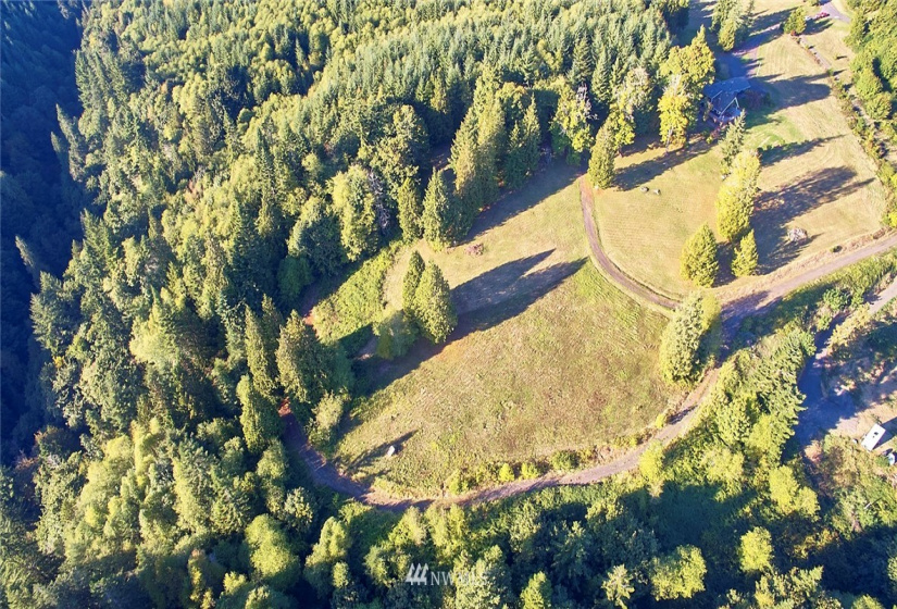 171 Newt Estates, Longview, Washington 98632, ,Land,For Sale,Newt Estates,NWM1849888
