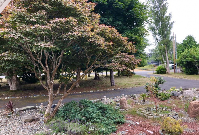 633 Quinault, Ocean Shores, Washington 98569, 3 Bedrooms Bedrooms, ,2 BathroomsBathrooms,Residential,For Sale,Quinault,NWM1850588